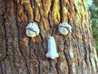 photos 2000-200901781